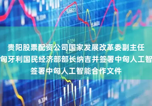 贵阳股票配资公司国家发展改革委副主任刘苏社会见匈牙利国民经济部部长纳吉并签署中匈人工智能合作文件