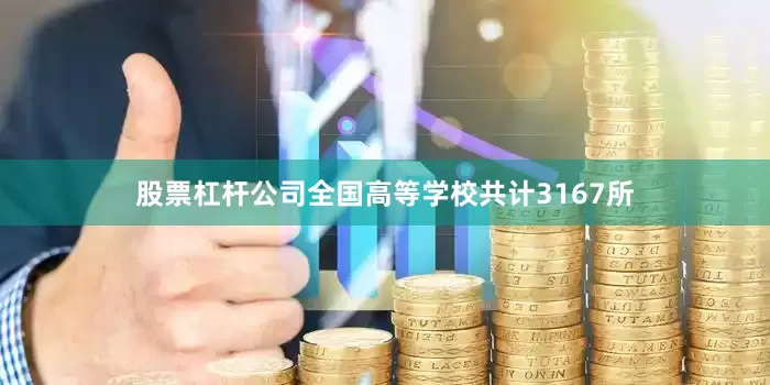 股票杠杆公司全国高等学校共计3167所