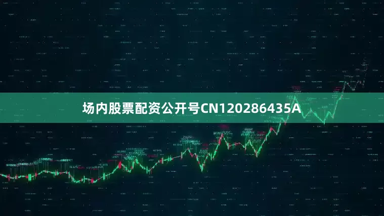 场内股票配资公开号CN120286435A