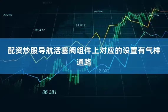 配资炒股导航活塞阀组件上对应的设置有气样通路