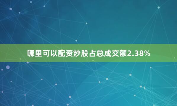 哪里可以配资炒股占总成交额2.38%