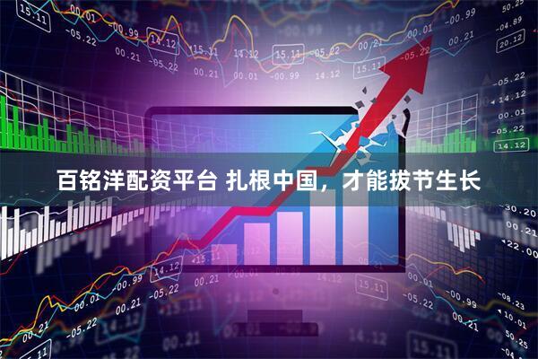 百铭洋配资平台 扎根中国，才能拔节生长