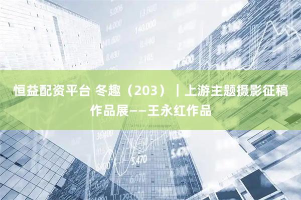 恒益配资平台 冬趣（203）｜上游主题摄影征稿作品展——王永红作品