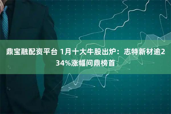 鼎宝融配资平台 1月十大牛股出炉：志特新材逾234%涨幅问鼎榜首